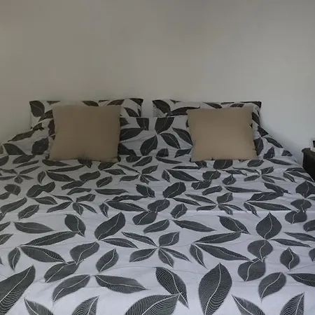 Apartment Plain Pied 2 Pieces Equipe Sur Jardin Arbore Laparade